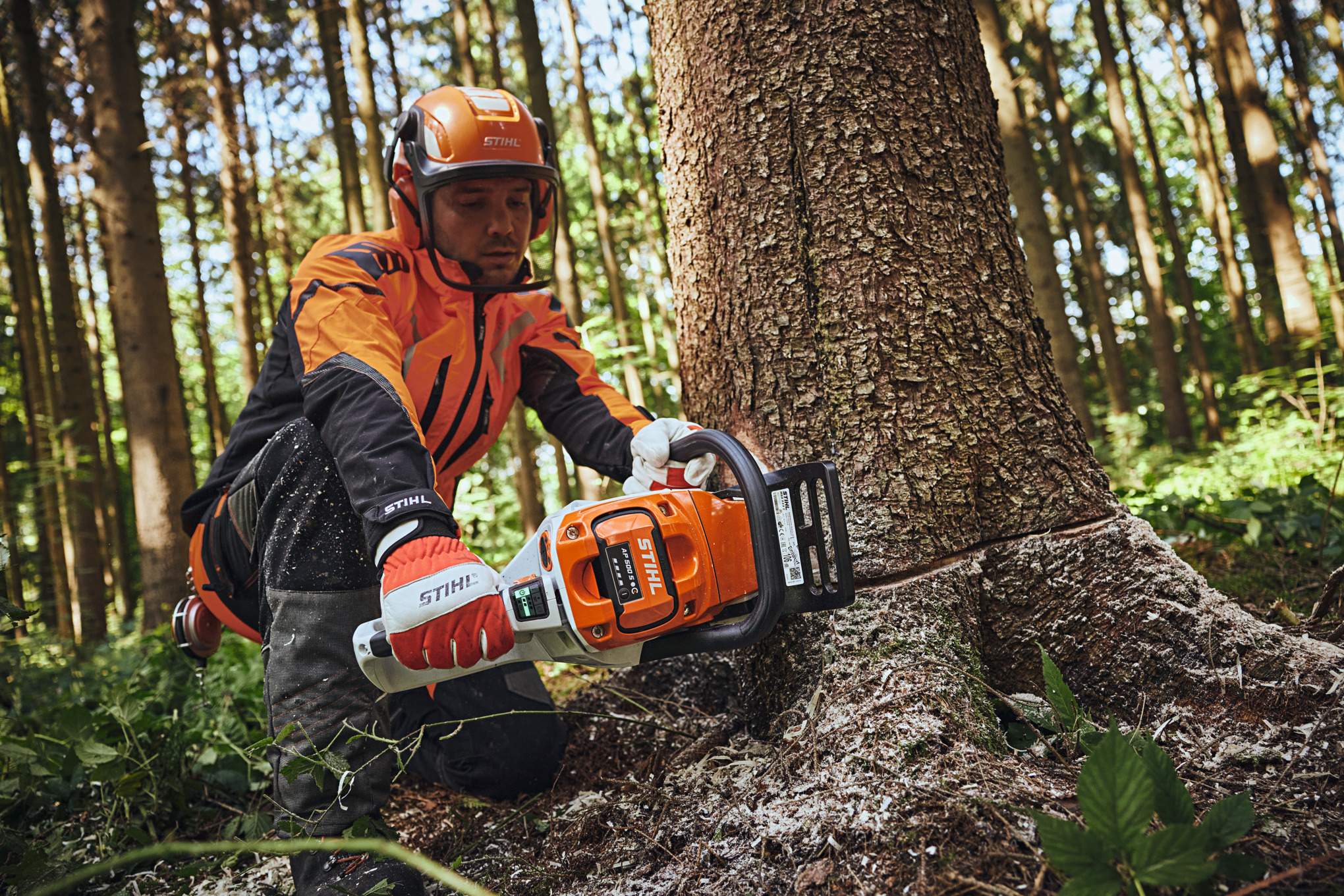 A man wearing STIHL protective equipment sawing a tree trunk